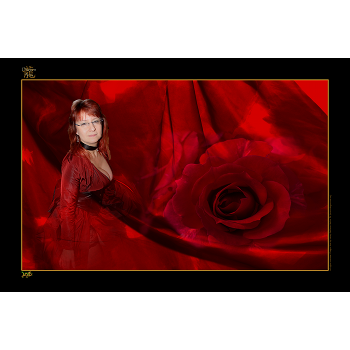 vf_gothic_rose_2011.png